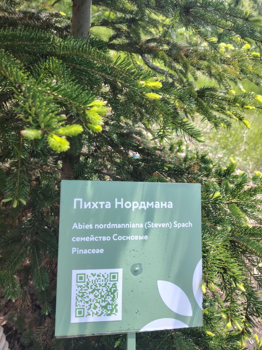 Экскурсия в Саратовский Ботанический сад Фото 7 Экскурсия в Саратовский Ботанический сад Фото 7