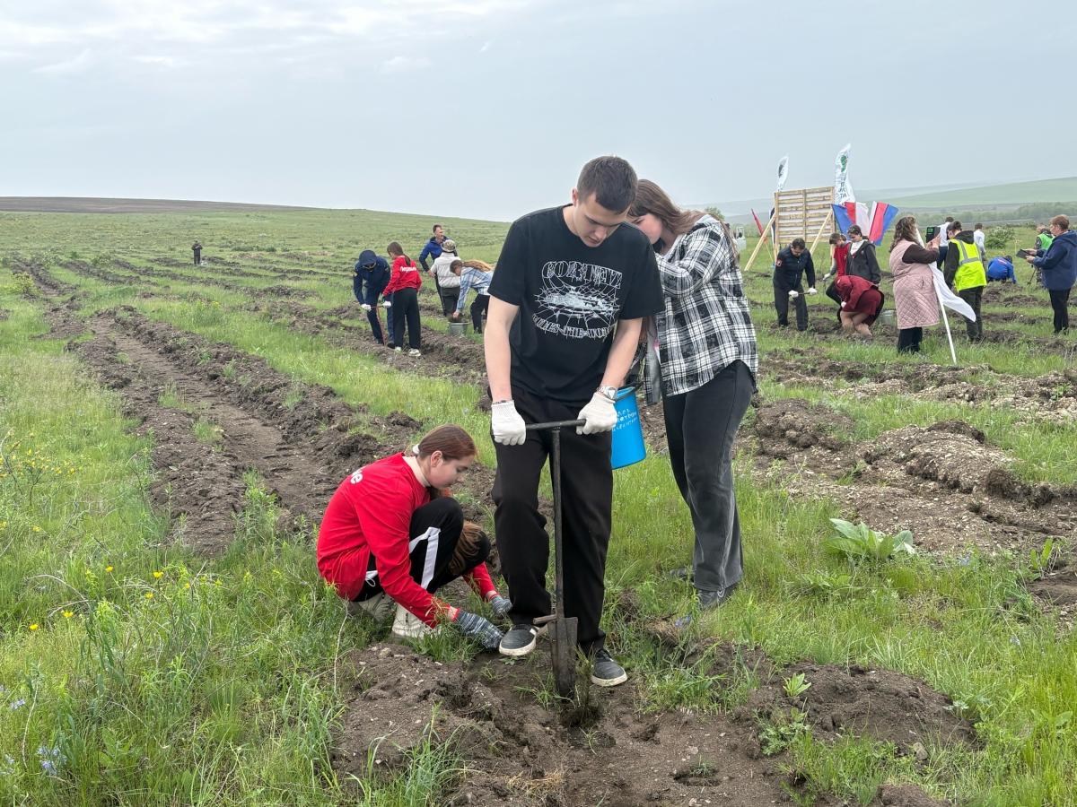 Международная эколого-патриотическая акция «Сад Памяти» Фото 1 Международная эколого-патриотическая акция «Сад Памяти» Фото 1