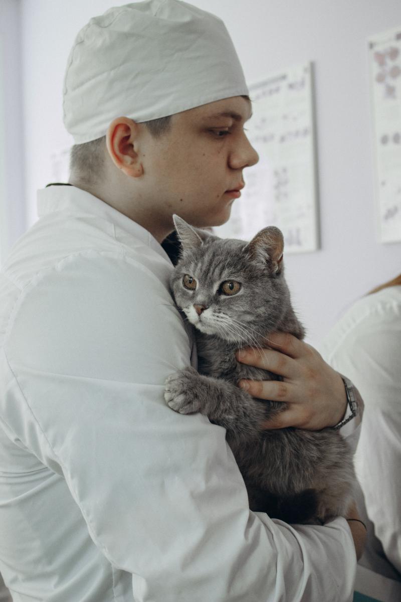 В Вавиловском университете открыт новый центр функциональной диагностики Фото 6 В Вавиловском университете открыт новый центр функциональной диагностики Фото 6
