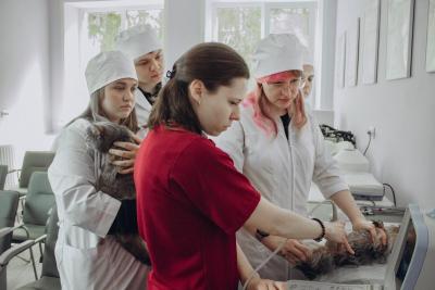 В Вавиловском университете открыт новый центр функциональной диагностики