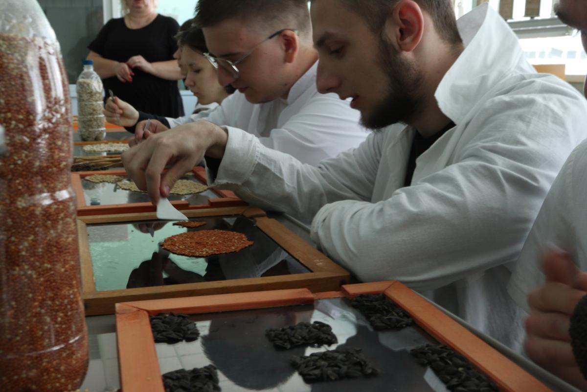 Мастер-класс "Определение качественных показателей зерновых культур" Фото 2 Мастер-класс "Определение качественных показателей зерновых культур" Фото 2