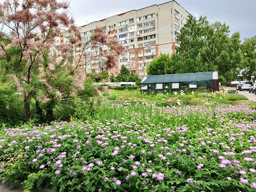 День эколога Фото 3 День эколога Фото 3