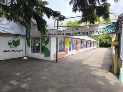 День эколога