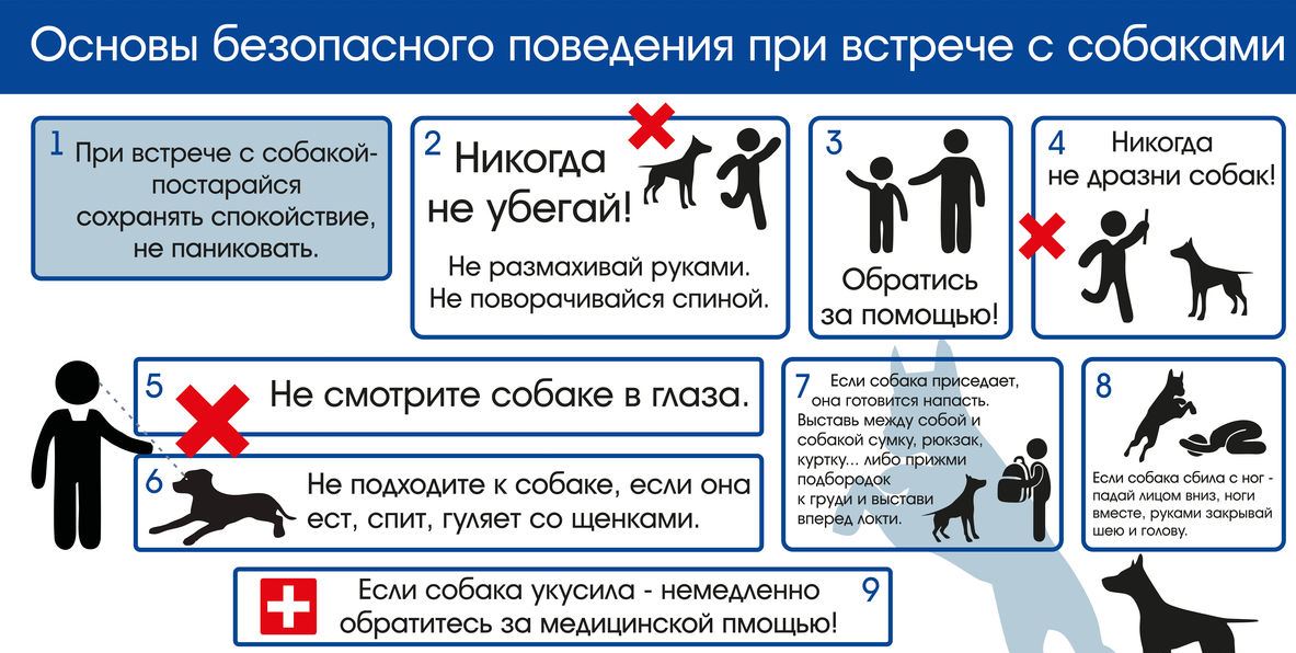 Единый день безопасности Фото 1 Единый день безопасности Фото 1