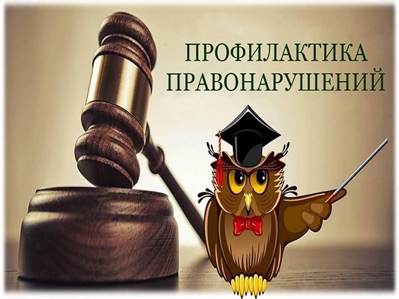 Дистанционный кураторский час «Понятие общественного порядка и общественной безопасности. Нарушение правил тонировки» 