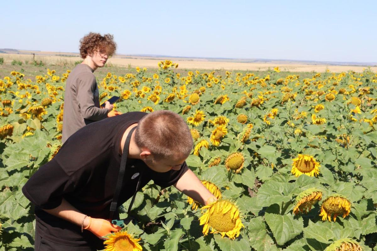 AgroWeed выехал в поле. Фертильная прополка пополнила датасет стартап-проекта. Фото 1 AgroWeed выехал в поле. Фертильная прополка пополнила датасет стартап-проекта. Фото 1