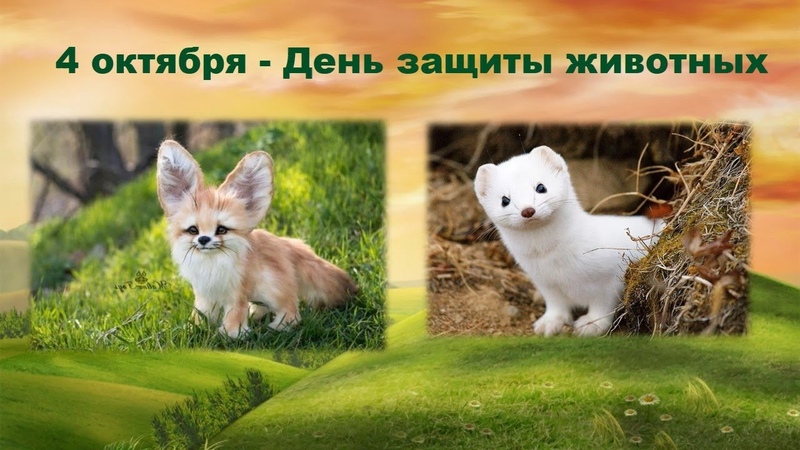 ФОТОКОНКУРС
