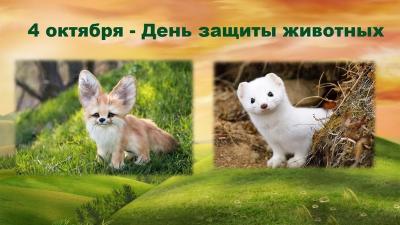 ФОТОКОНКУРС