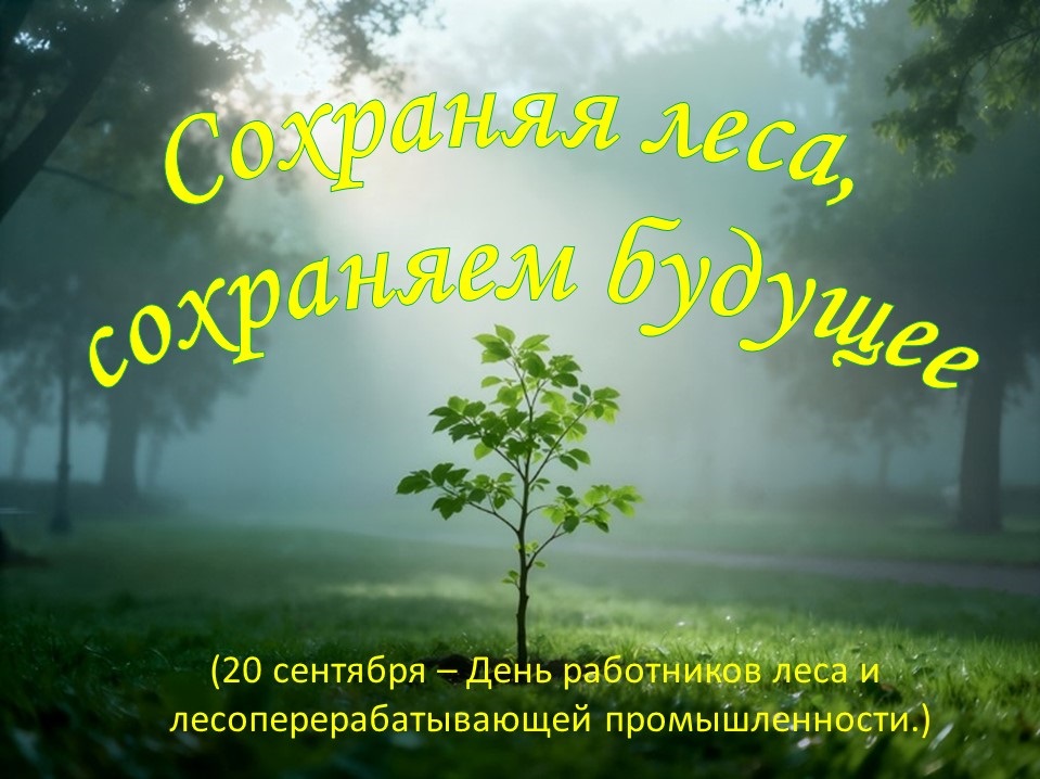 «Сохраняя леса, сохраняем будущее» (20 сентября – День работников леса и лесоперерабатывающей промышленности)
