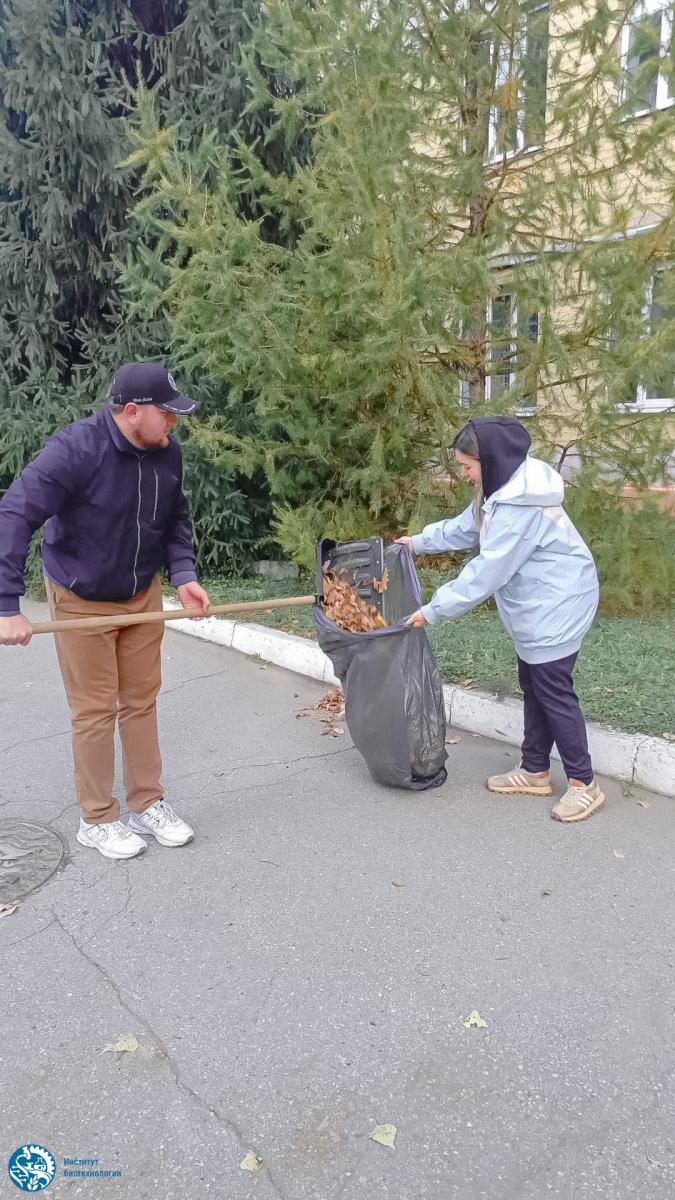 Преподаватели и студенты Института биотехнологии приняли участие в субботнике Фото 1