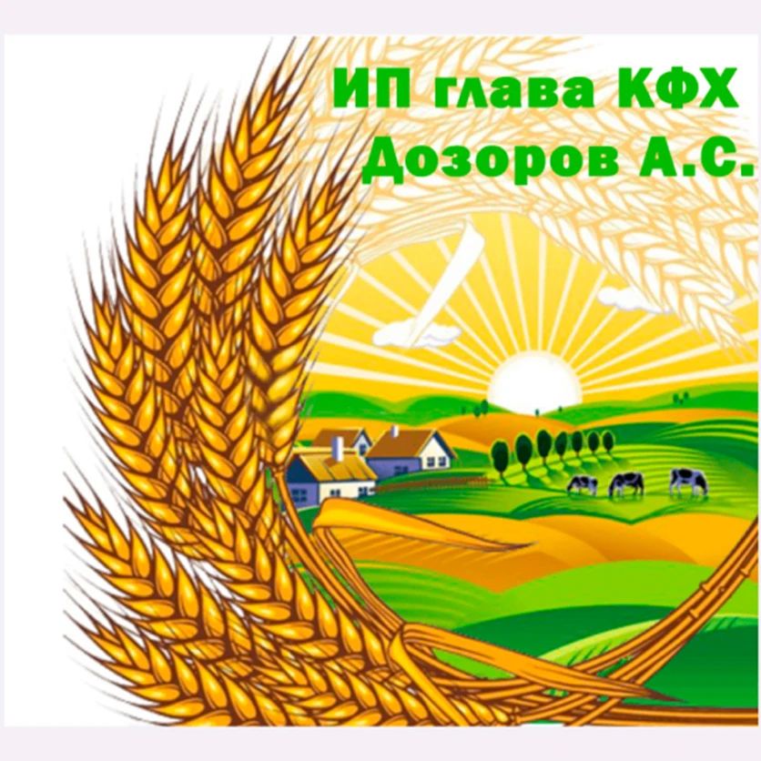 Поддержим нашего земляка — он в финале #МЫВМЕСТЕ2026! Фото 1 Поддержим нашего земляка — он в финале #МЫВМЕСТЕ2026! Фото 1