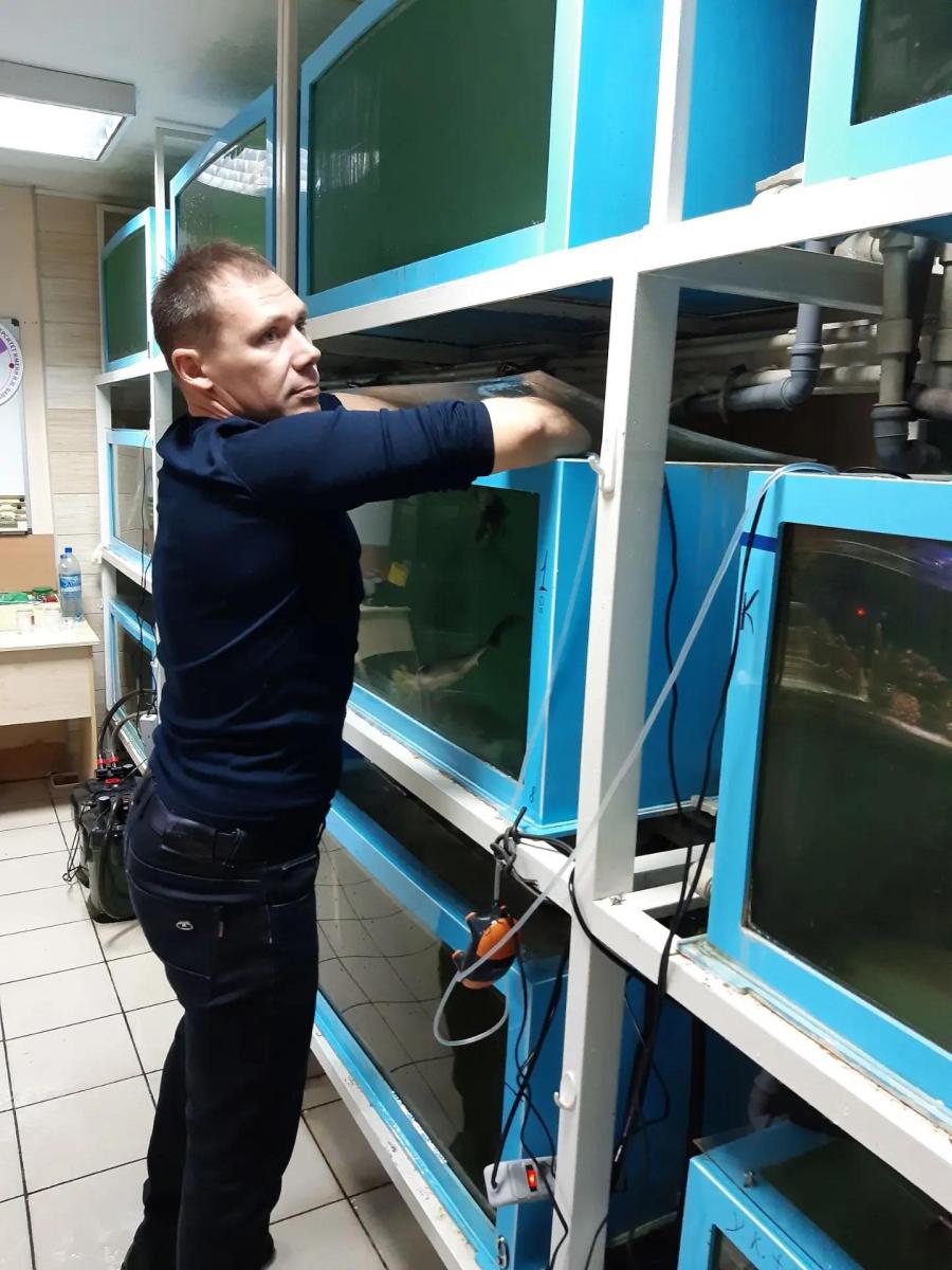 В Вавиловском университете подготовлена диссертация, признанная одной из лучших в 2024 году Фото 3 В Вавиловском университете подготовлена диссертация, признанная одной из лучших в 2024 году Фото 3