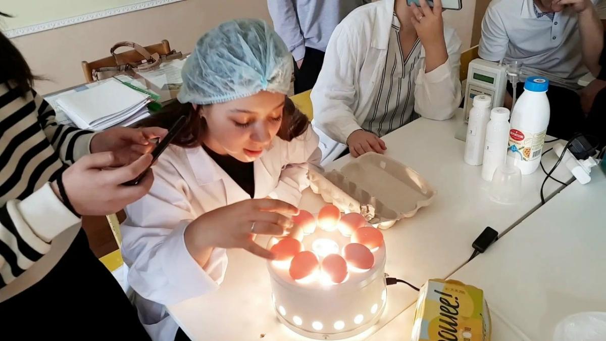Школьники познакомились с профессией ветеринарного эксперта на профпробах Фото 1 Школьники познакомились с профессией ветеринарного эксперта на профпробах Фото 1