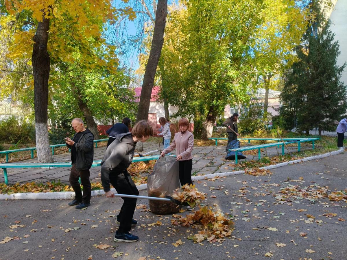 От пробирок — к граблям! Наша осенняя перезагрузка Фото 3