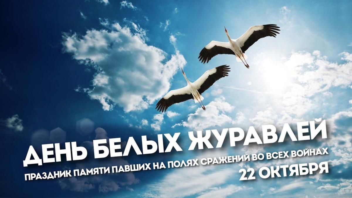 Вавиловцы приняли участие в патриотической акции «День белых журавлей»