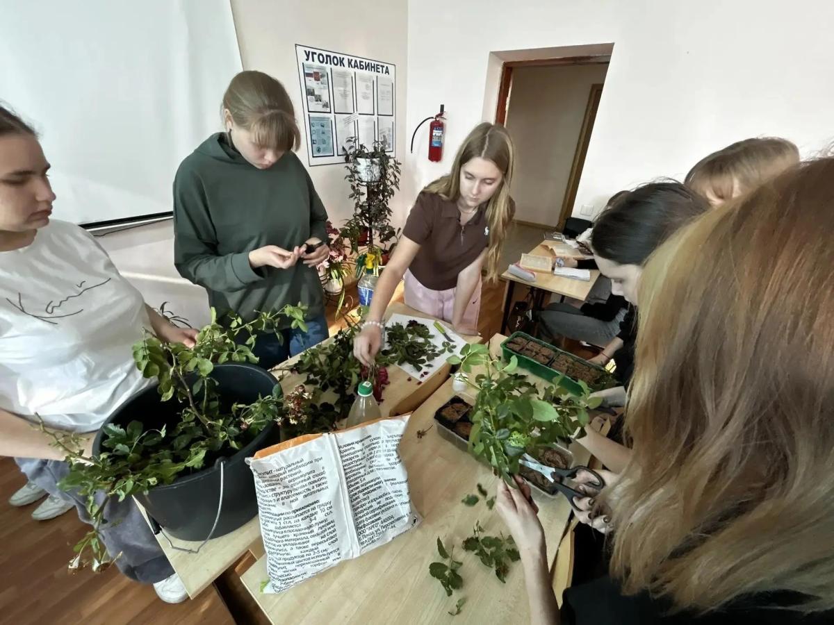 35.02.12 Садово- парковое ландшафтное строительство. Фото 2 35.02.12 Садово- парковое ландшафтное строительство. Фото 2