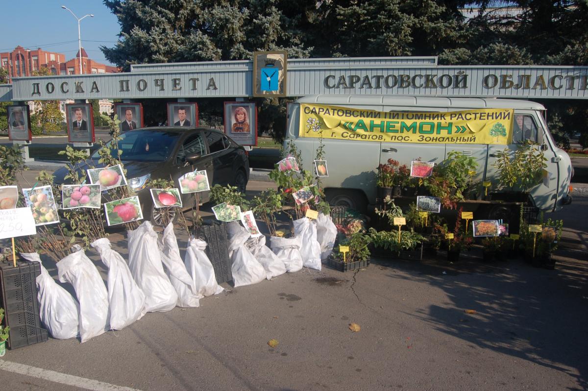 День садовода - 2014 Фото 14