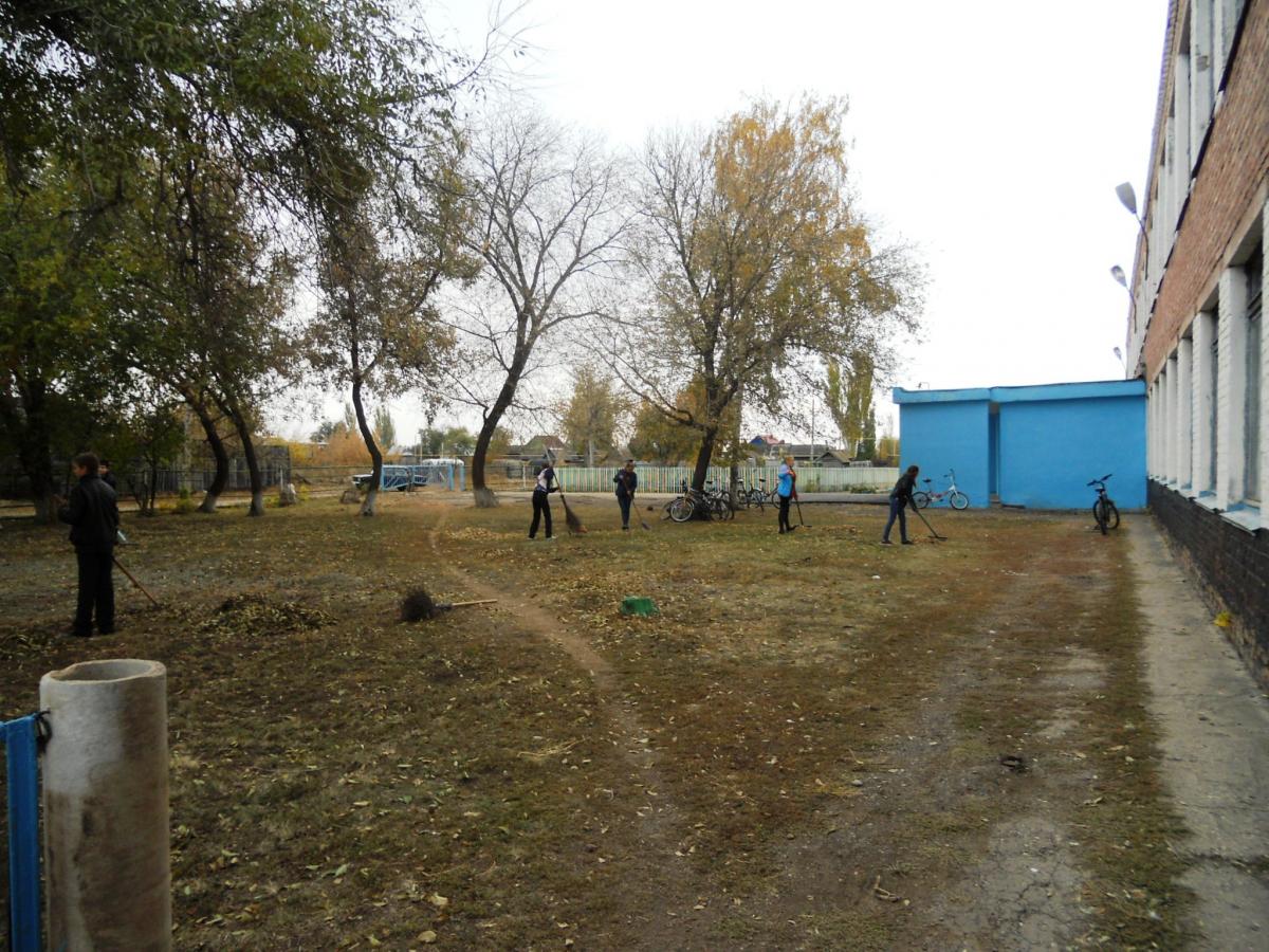 Профориентационная работа в Балаковском районе 16.10.2014 г. Фото 4